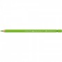 Albrecht Dürer watercolour pencil light green